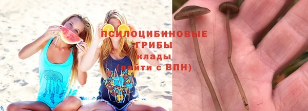 МДПВ Богданович