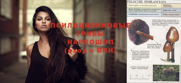 МДПВ Богданович