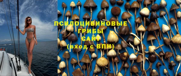 spice Белоозёрский