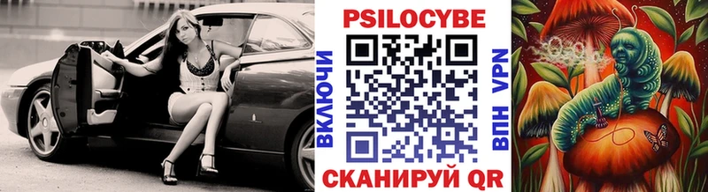 магазин    Ленинградская  Галлюциногенные грибы прущие грибы 